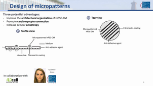 From organoid to artificial organ - September 22nd, 2020