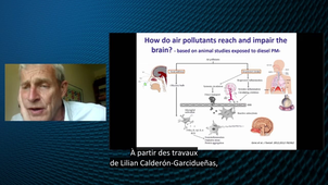 ANDREW2 (Autism and NeuroDevelopment REsearch Workshop 2) - « Air pollution and brain development » - Jordi Sunyer - ISGlobal Barcelona, ES - version sous-titrée