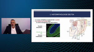 ANDREW2 (Autism and NeuroDevelopment REsearch Workshop 2) - « Motor Disorders in Autism Spectrum Disorders: interest in diagnosis and identification of novel therapeutic avenue » - Mohamed Jaber - INSERM U1084, Université de Poitiers
