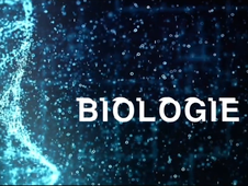 Biologie Thomas Boulin 28 mars 1/2