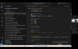 Club NeuImg CRNL - VSCode par Nicolas Fourcaud-Trocmé