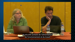 ANDREW2 (Autism and NeuroDevelopment REsearch Workshop 2) - session jeunes chercheurs - 1er Juin 2021 - version sous-titrée