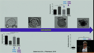From organoid to artificial organ - September 22nd, 2020