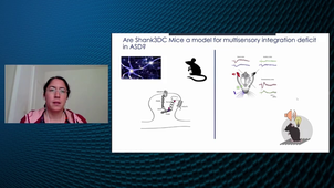 ANDREW2 (Autism and NeuroDevelopment REsearch Workshop 2) - session jeunes chercheurs - 2 Juin 2021
