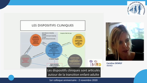 1er colloque anniversaire GIS Autisme et TND / Caroline DEMILY / Présentation du Centre d'Excellence IMIND (version sous-titrée)