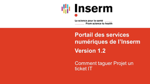 [Technique][V1.2] Comment taguer Projet un ticket IT