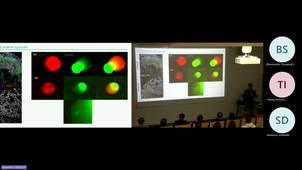 Workshop CRNL Cerebrals organoids-20231211_115605-Enregistrement Bertrand_Pain.mp4
