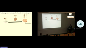 Workshop CRNL Cerebrals organoids-20231211_093516-Enregistrement IntroLB&Laura_Pellegrini.mp4