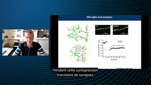 ANDREW2 (Autism and NeuroDevelopment REsearch Workshop 2) - Interactions précoces gènes-environnement dans les trouble du neuro-développement - Pierre Gressens - Hôpital Robert-Debré, Paris - version sous-titrée