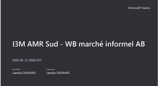 AMR WB 20250212 Marchés informels