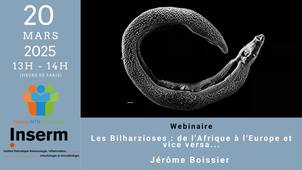 Webinaire MTN - 2024-03-20 - Les Bilharzioses.