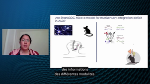 ANDREW2 (Autism and NeuroDevelopment REsearch Workshop 2) - session jeunes chercheurs - 2 Juin 2021 - version sous-titrée