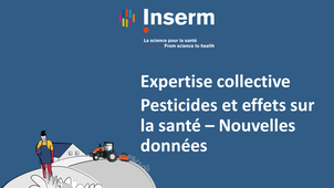 #session2. Pathologies neurologiques et atteintes neuropsychologiques.mp4