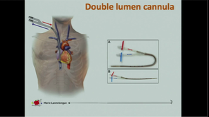 From organoid to artificial organ - September 22nd, 2020
