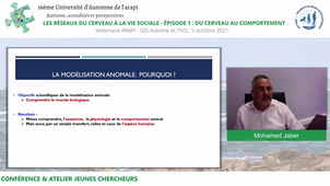 16ème Université d'Automne de l'ARAPI - Episode 1 : du cerveau au comportement - Conférence inaugurale de l'après-midi