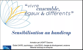 Webinaire LADAPT-INSERM-Handicap invisible_13.11.2023