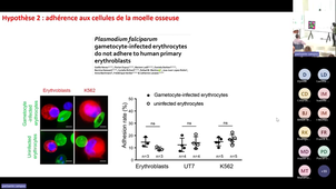 I3M Paludisme - colloque 20241003 (partie 2/3)