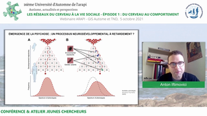 Lire la vidéo 16ème Université d'Automne de l'ARAPI - Episode 1 : du cerveau au comportement - atelier jeunes chercheurs et clinicien de l'après-midi