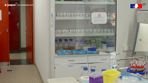 Optimiser l'usage des antibiotiques en médecine humaine et vétérinaire (PPR Antibioresistance)