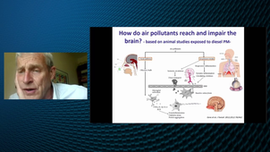 ANDREW2 (Autism and NeuroDevelopment REsearch Workshop 2) - « Air pollution and brain development » - Jordi Sunyer - ISGlobal Barcelona, ES