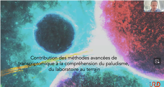 I3M PAL - webinaire 20240704 Biologie parasite